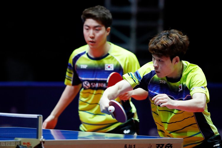 社会学意义 社会学意义